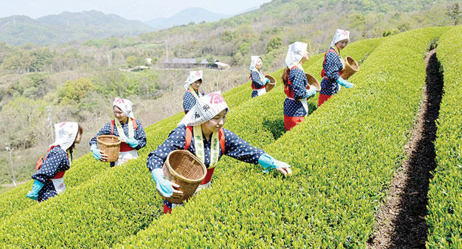 مسؤول ياباني: طوكيو وواشنطن ما زالتا  متباعدتين بشأن الصادرات الزراعية