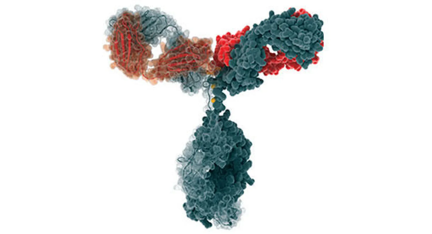 عقار يزيد الأمل لدى مرضى سرطان الرئة
