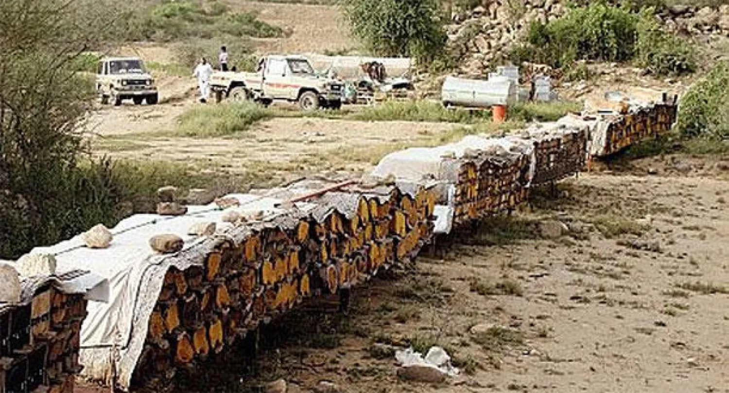 «العسل » في جازان.. رحلة بحث صيفية إلى جبال تهامة