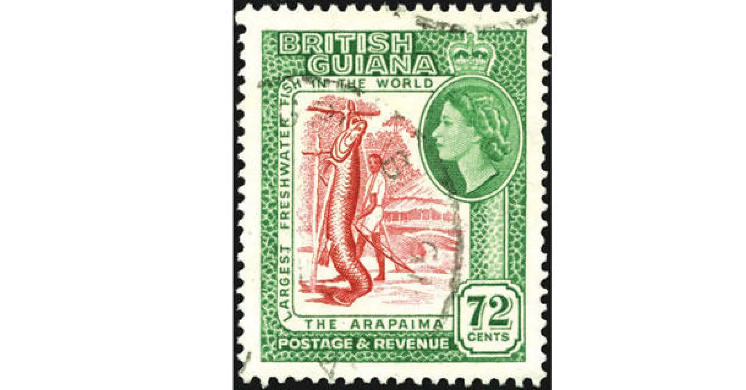 طابع بريد شبيه للطابع المعروض للبيع