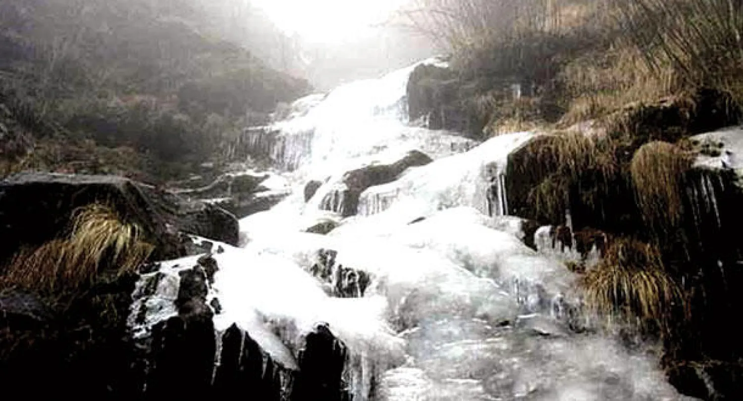 الغابات والقمم الثلجية تستقبل زوار سيكيم الهندية