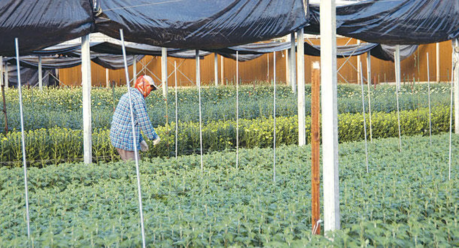 تواجه المملكة تحديات كبيرة تتطلب جهودا مستمرة، تتضافر فيها كل الجهات المعنية، لإيجاد آلية تعالج وتوازن بين كيفية تأمين الغذاء والحفاظ على موارد المياه