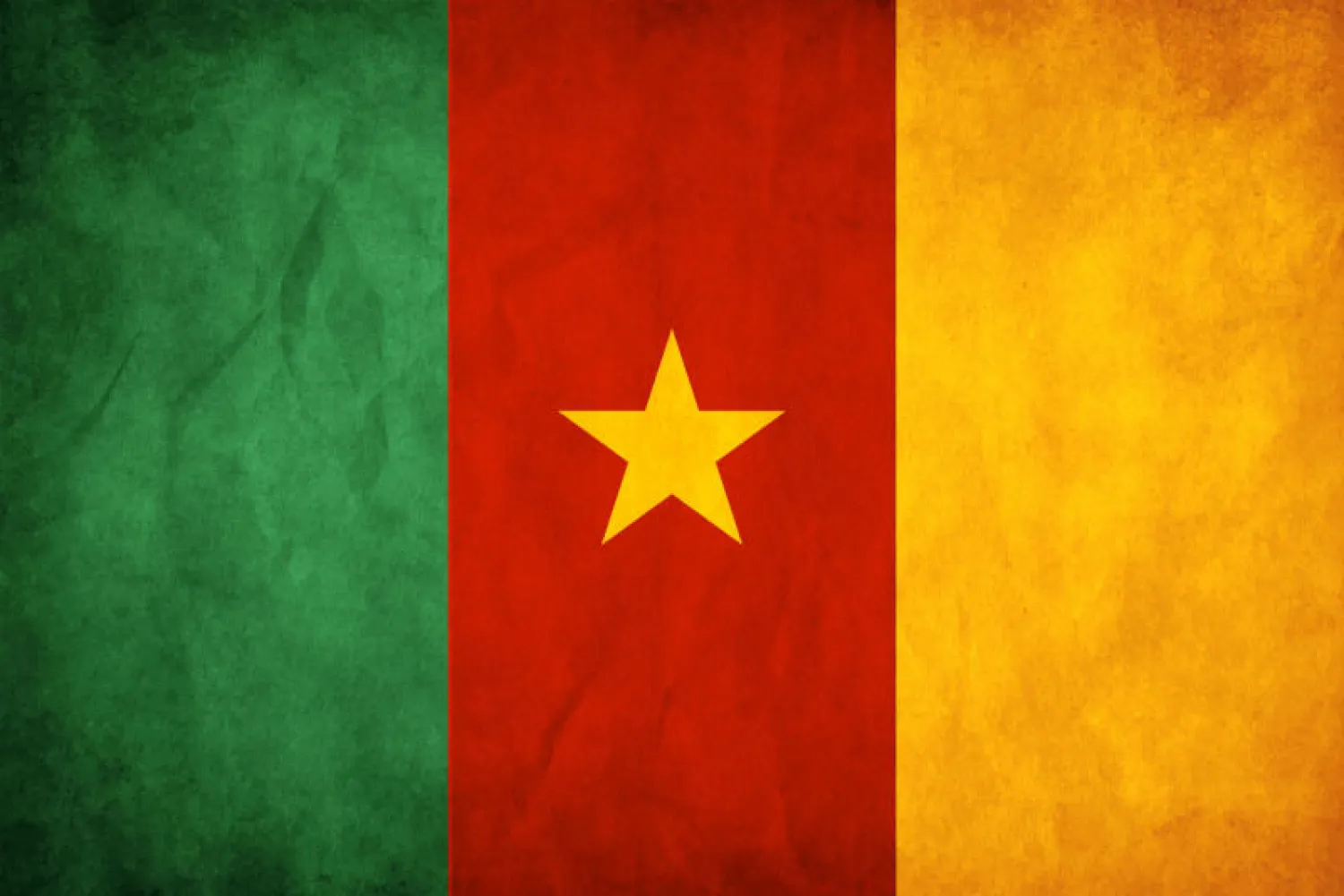 شبح اعتداءات «بوكو حرام» يخيم على الكاميرون