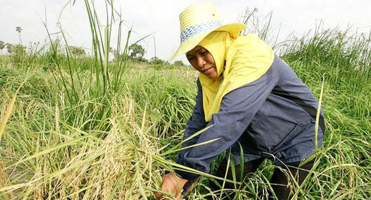 ستة آلاف دولار فاتورة جوال لمزارعة تايلاندية
