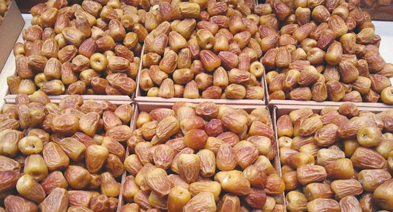 موسم جني التمور في السعودية يفقد التجار 80 في المائة من الأرباح