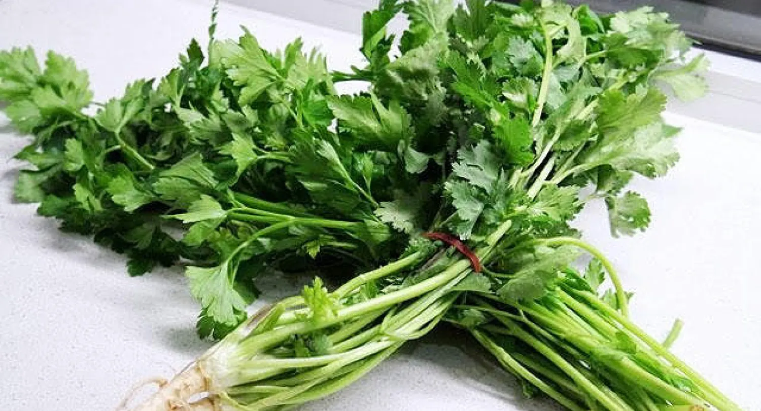 خبير سعودي ينصح بالإكثار من تناول الخضار الورقية برمضان