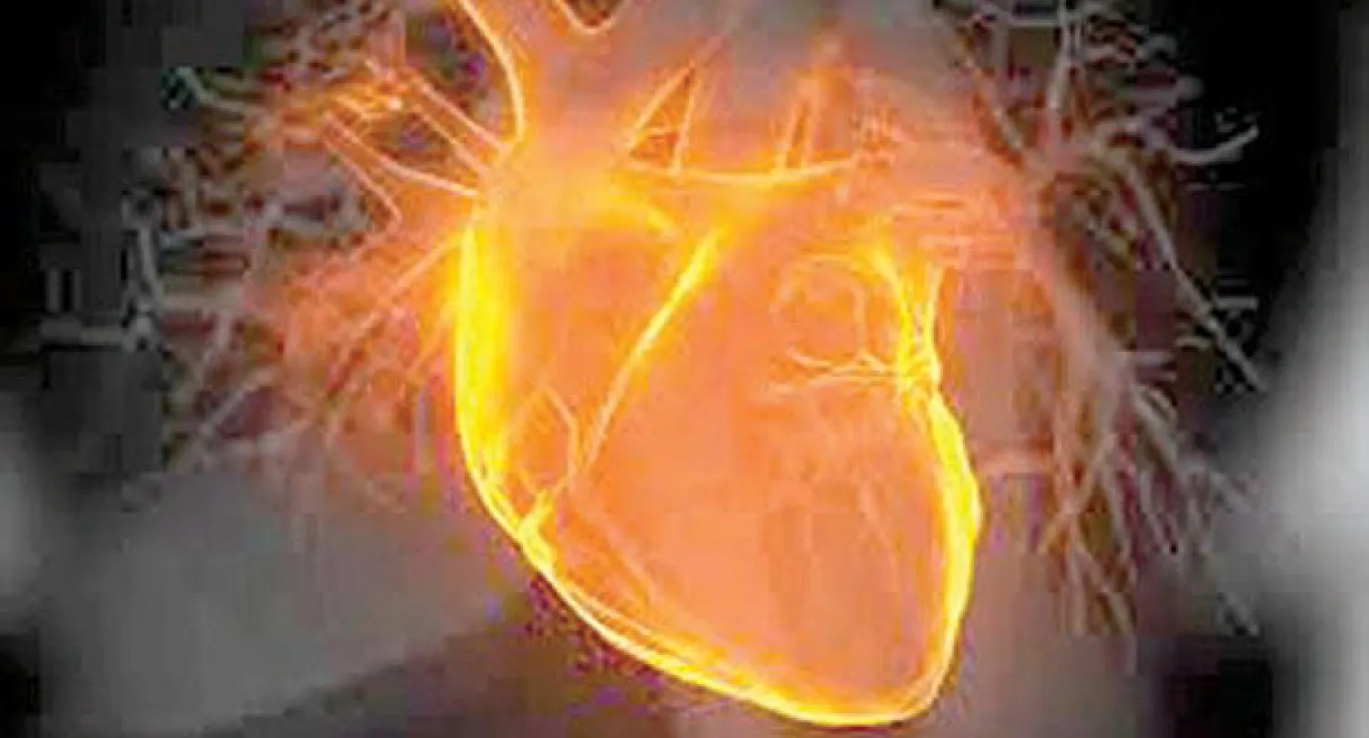 يمكن للخلايا البيولوجية استعادة المعدل الطبيعي لضربات القلب