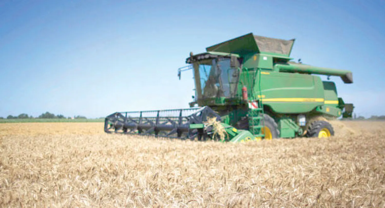 كشف النقاب عن الخريطة الجينية للقمح