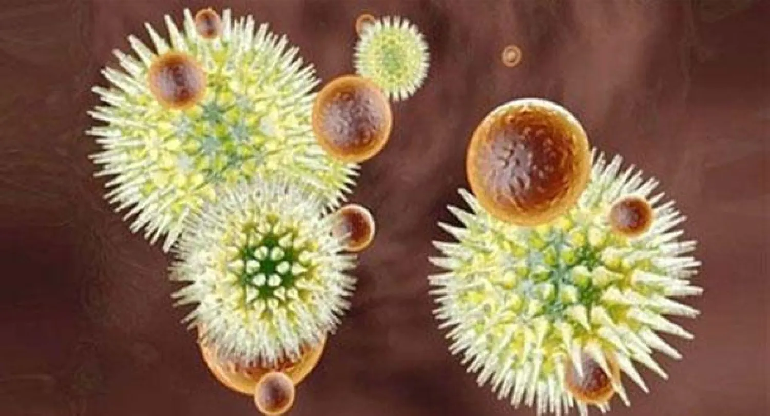 الإيبولا.. فيروس قاتل لا لقاح له