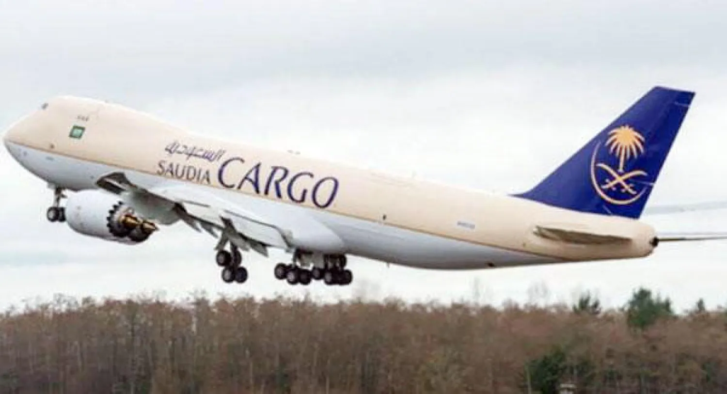 نجاة طائرة مستأجرة لصالح «السعودية» من الاصطدام