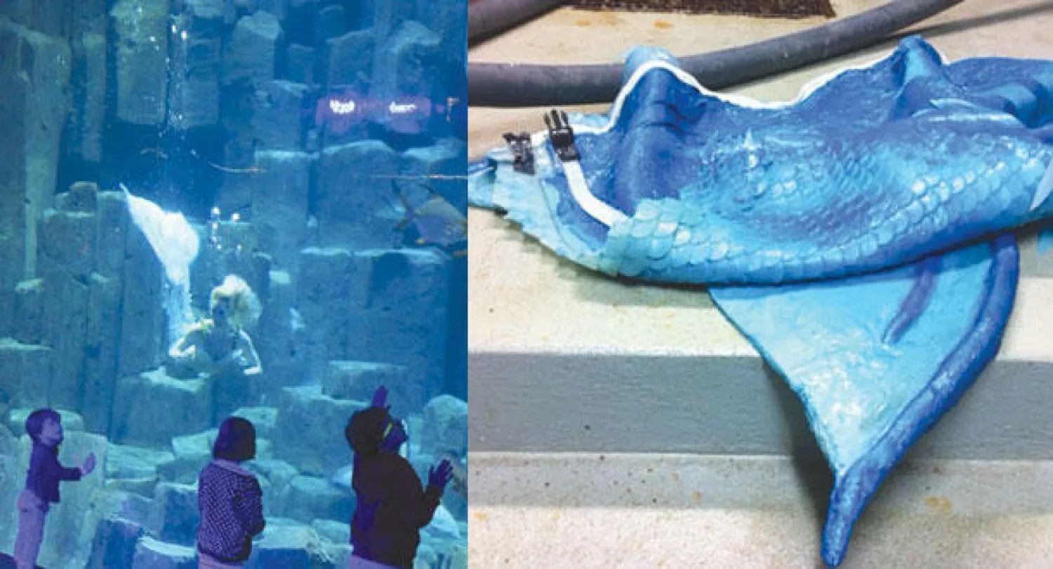 زعانف المرأة الحورية  -  المرأة الحورية في أكواريوم باريس