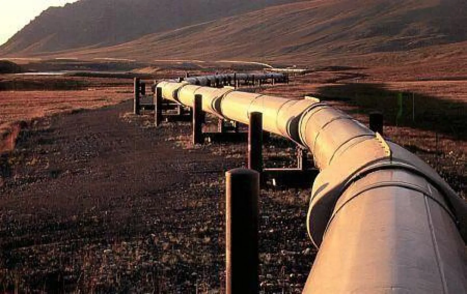 السلطات الأميركية تبرئ ساحة منتج سعودي من «الإغراق»