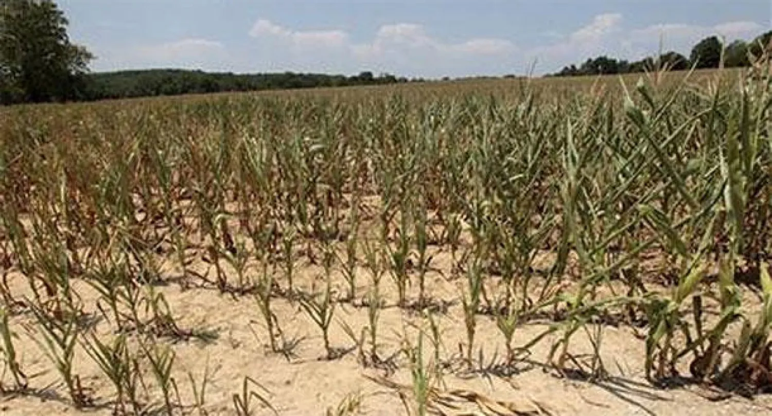 الجفاف يترك 2.8 مليون شخص فريسة للجوع في أميركا الوسطى