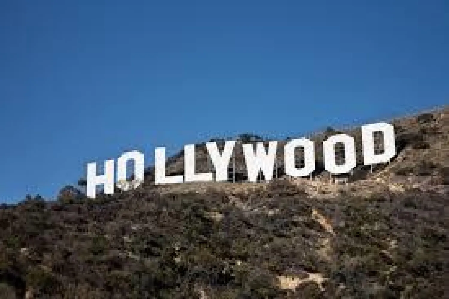 دموع الفيل الهندي راجو إلى «هوليوود»