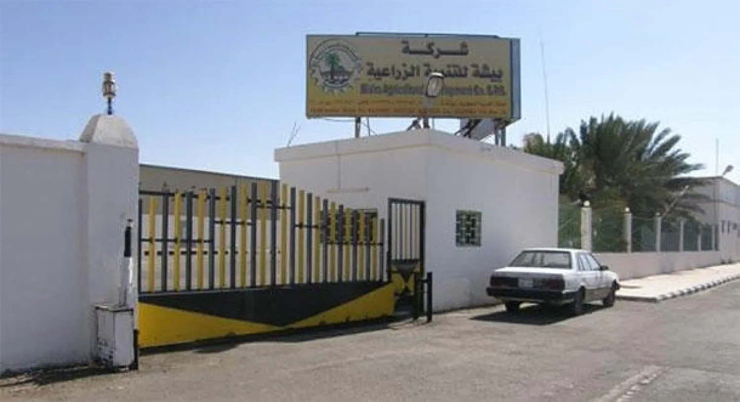 السعودية: خطة إنقاذ جديدة لشركة «بيشة الزراعية»