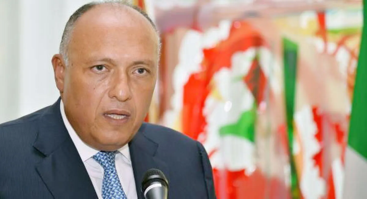 مصر تدعو لمواجهة «داعش».. وتستقبل مستشارين للخارجية الأميركية