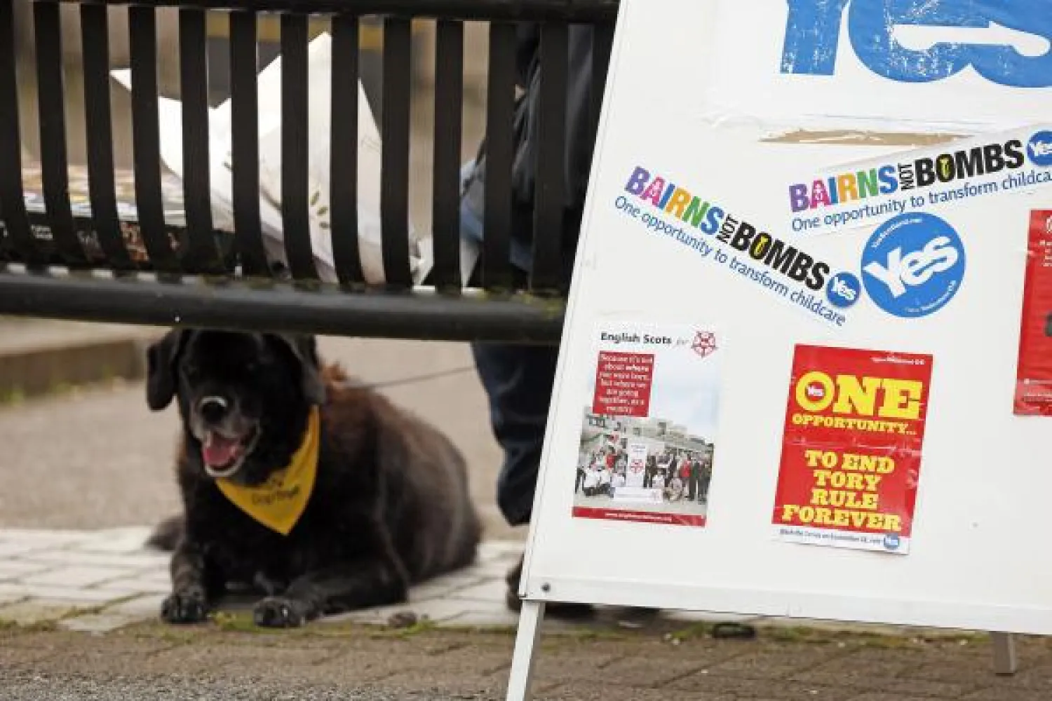 غلاسكو قد تحسم حملة استقلال اسكوتلندا