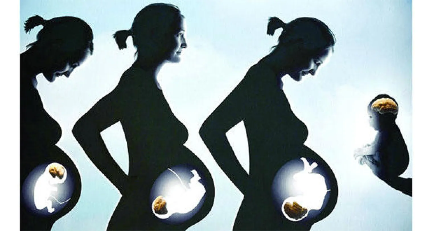 مراحل تطور المخ البشري في معرض«C3RV34U»المقام في مدينة العلوم بباريس (أ.ف.ب)