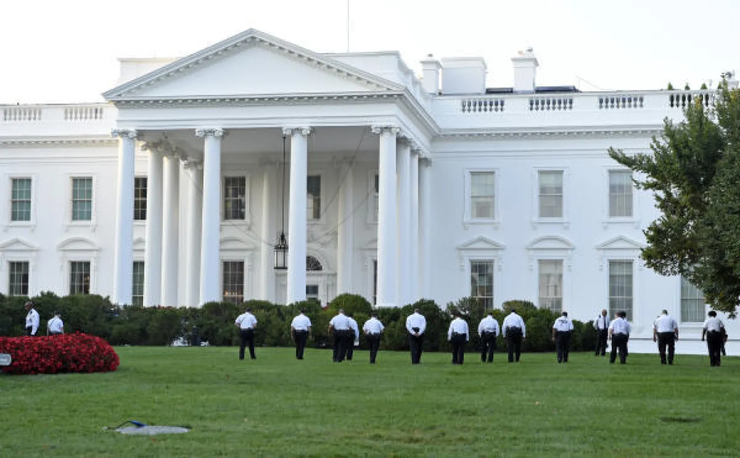 رجل يقتحم البيت البيض