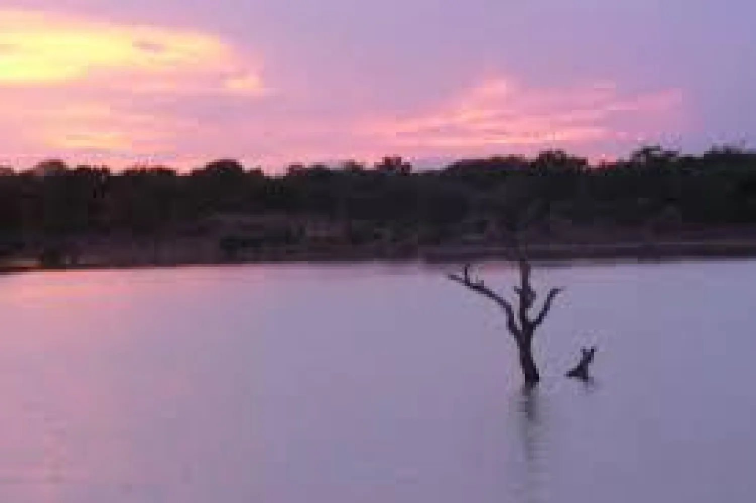 الأقمار الصناعية تساعد في مكافحة الملاريا