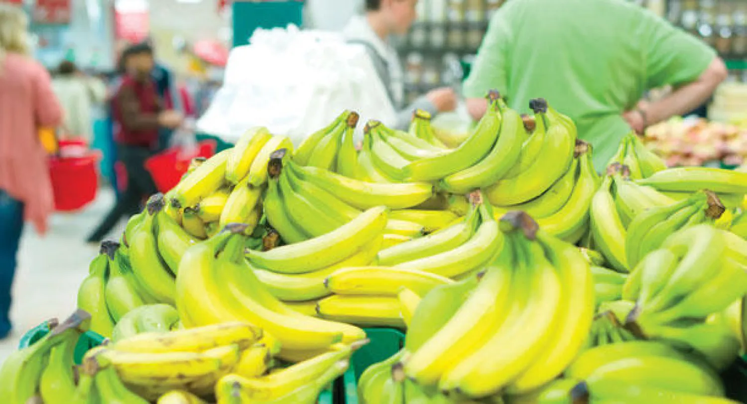 المفوضية الأوروبية توافق بشروط على اندماج شركتي شيكويتا الأميركية وفيفز الآيرلندية