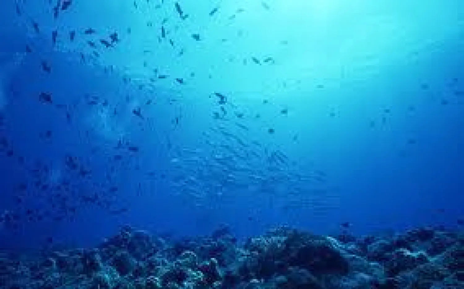 خريطة جديدة لتضاريس قاع المحيطات