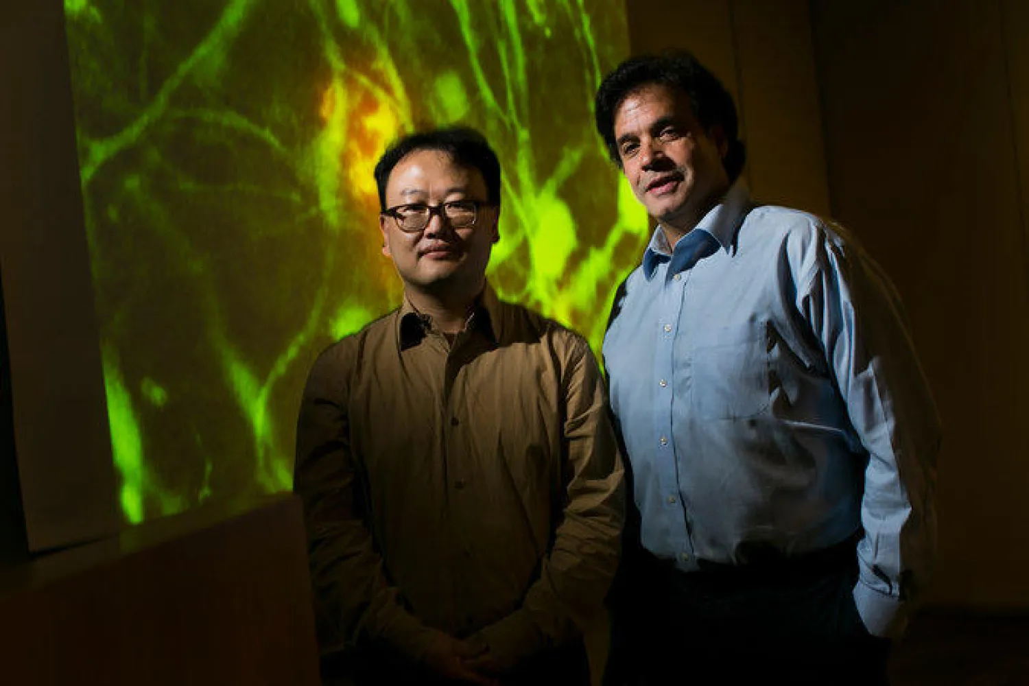 إنجاز علمي بمحاكاة خلايا مخ بشري لأبحاث الزهايمر