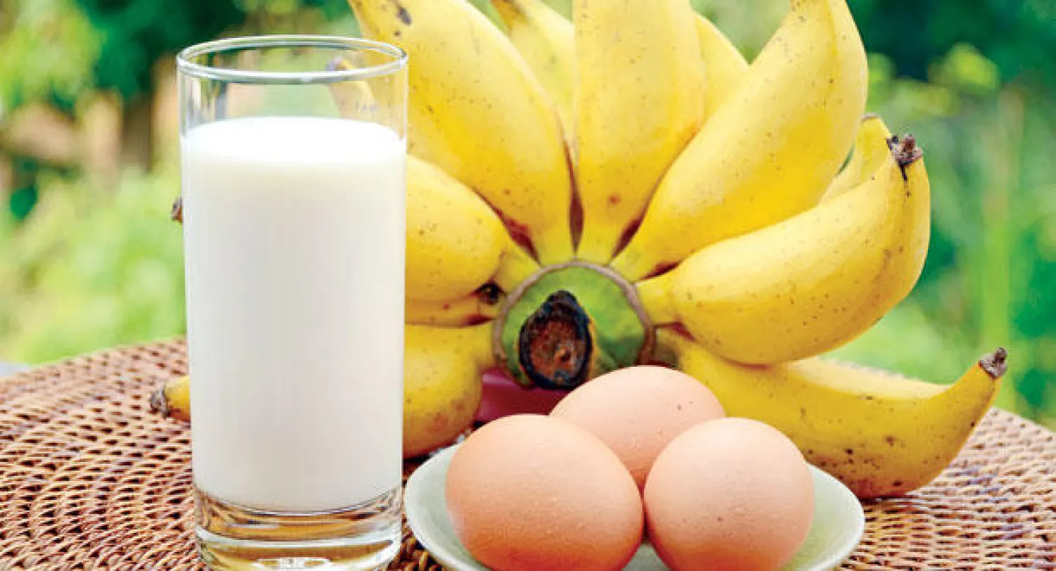 تغذية الأطفال.. والذكاء