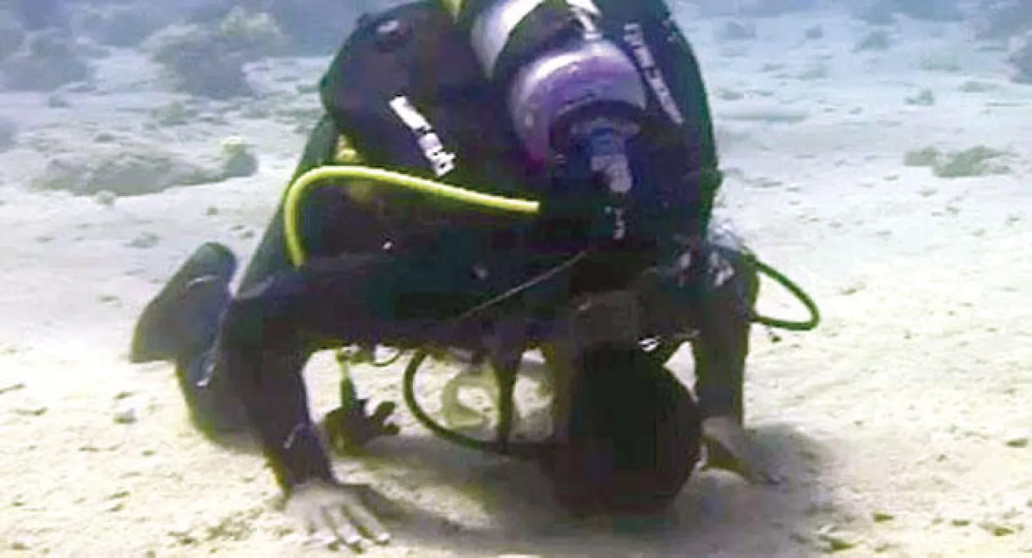 الغوص في مياه البحر الأحمر