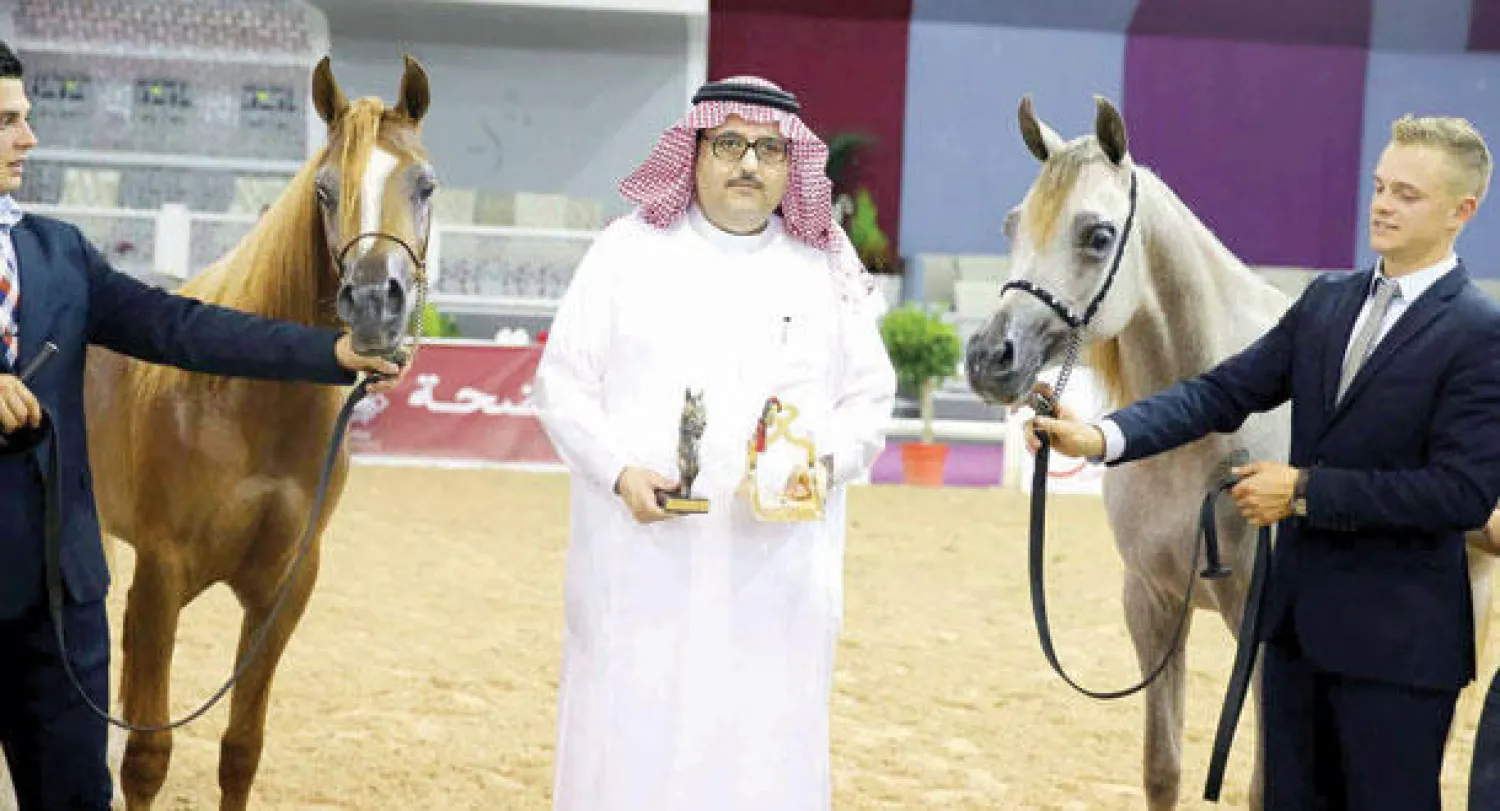 المهرتان عذبيات وفهدة من مربط عذبة الحاصلتان على الذهب والفضة في بطولة المهرات عُمر سنة («الشرق الأوسط»)