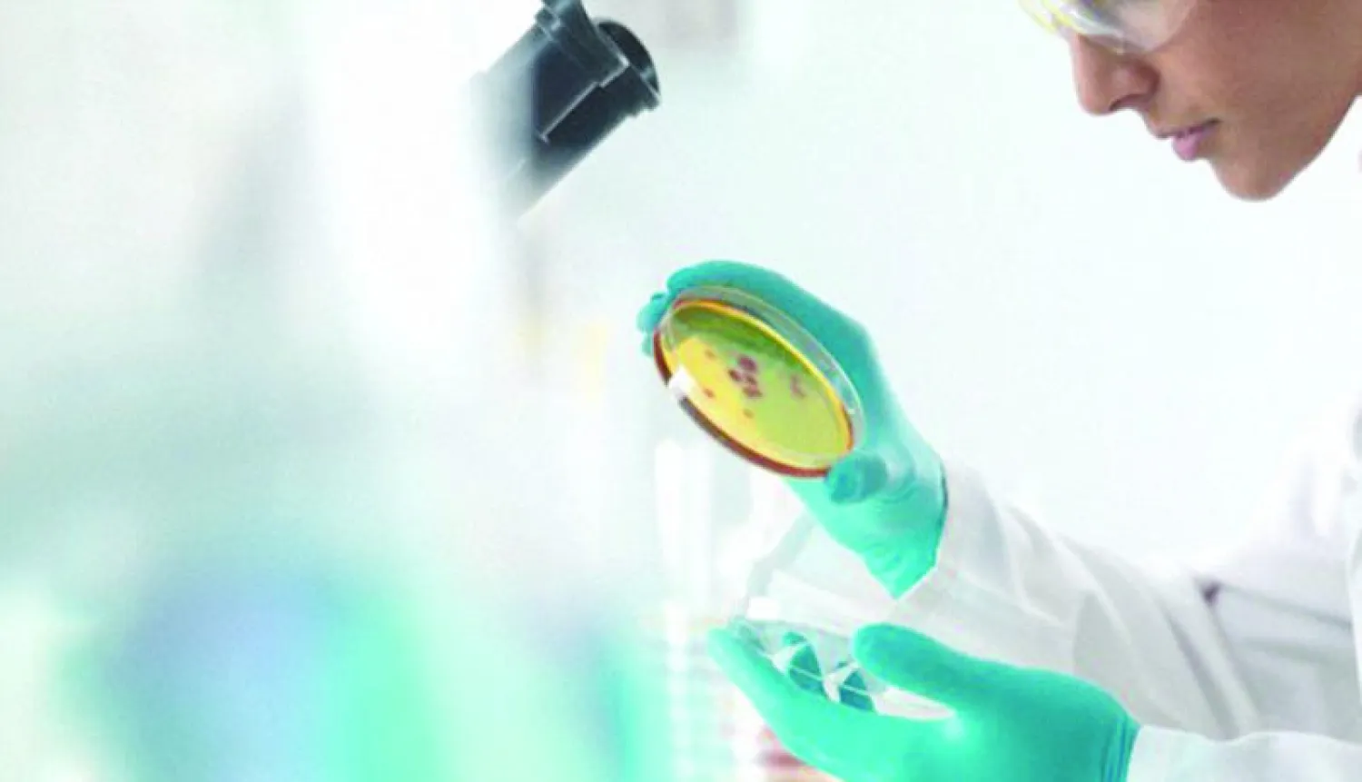 تجارب لإطالة العضو الذكري داخل المختبرات