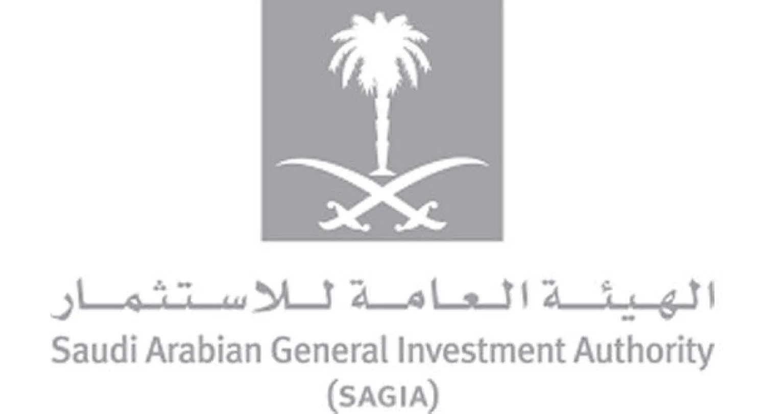 السعودية: انتقادات لهيئة الاستثمارات حيال ضخ أموالها في القطاعات التقليدية