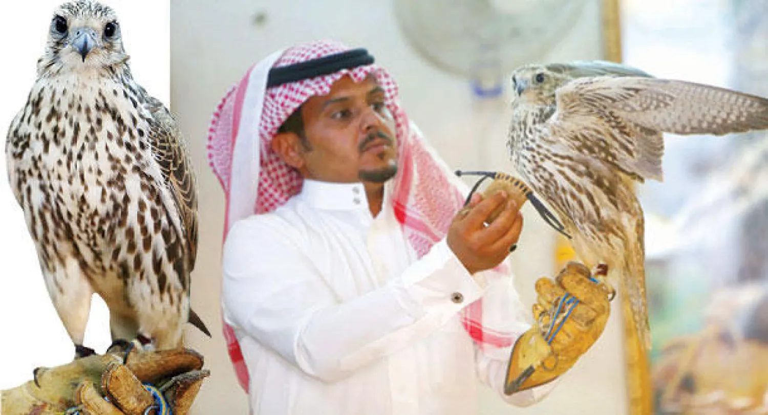 اللون الأبيض والأشهل هما الأكثر طلبا والأعلى قيمة