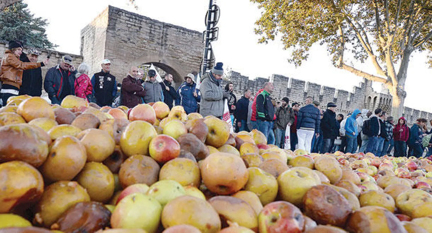 بعض من المنتجات التي رماها المزارعون في الشوارع (أ.ف.ب)