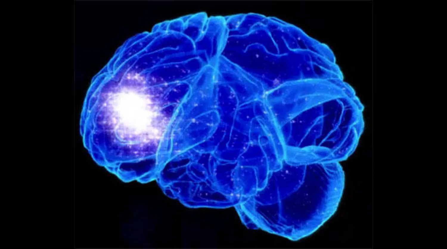 دراسة نفسية تؤكد إمكانية اجتثاث الأفكار المتطرفة رغم الصعوبة