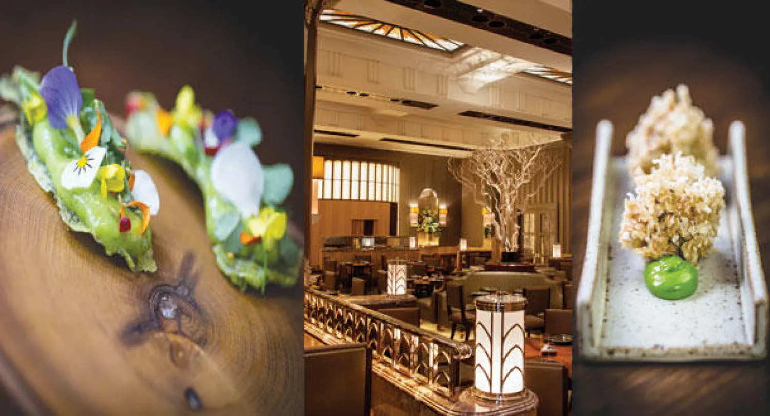 لحم الارنب مع الاعشاب   -  ديكورات يغلب عليها نمط الآرت ديكو الراقي  -  من بين الاطباق التي تسبق الطبق الاول