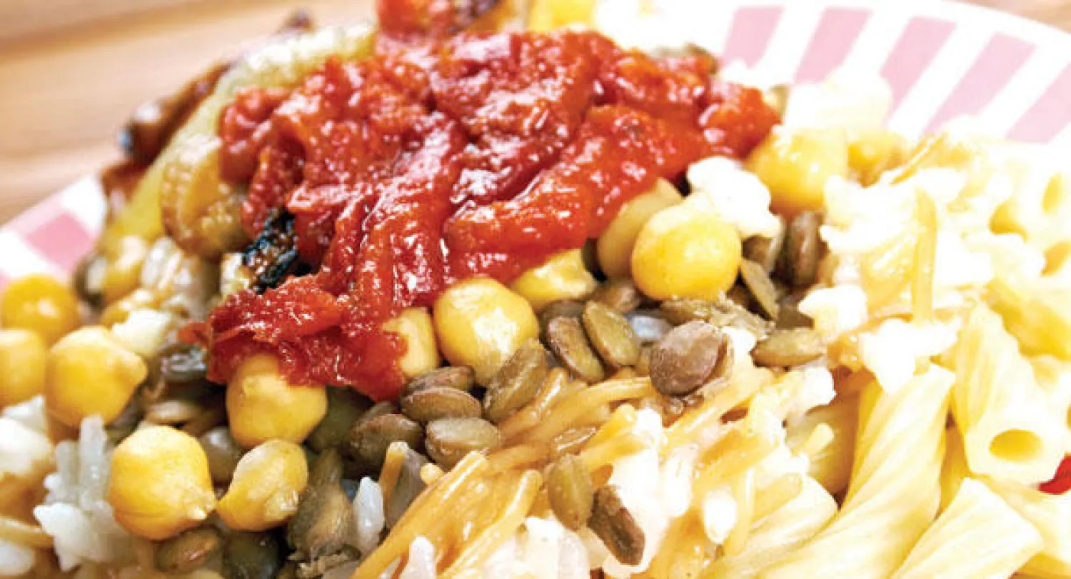 «مهرجان الكشري» يهدف إلى التوعية بقضية الجوع