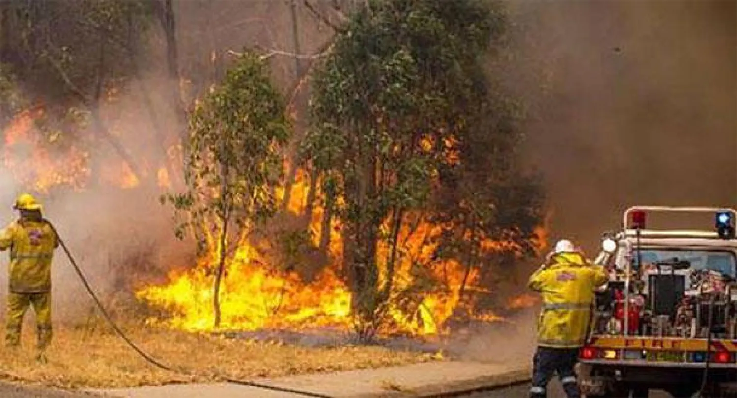 اندلاع حريق في غابات أسترالية مدرجة على قائمة التراث الإنساني