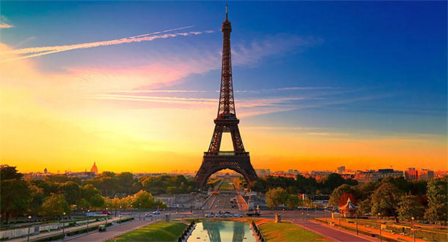 حملة للبحث عن «قط ضخم» بالقرب من باريس