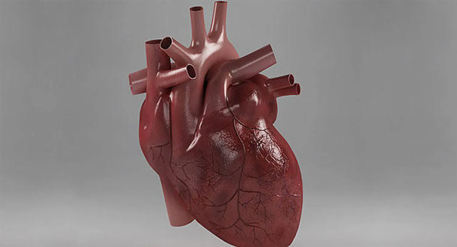 صاحبة قلب مزروع مرشحة لعرش جمال فرنسا