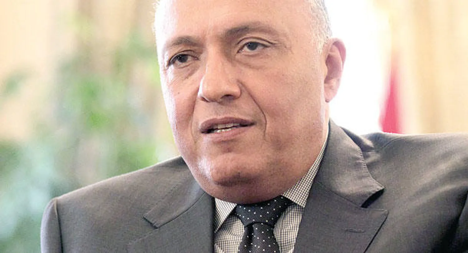 سامح شكري: نتوقع من قطر مواقف تبرهن على قبول ما اتفق عليه في الرياض