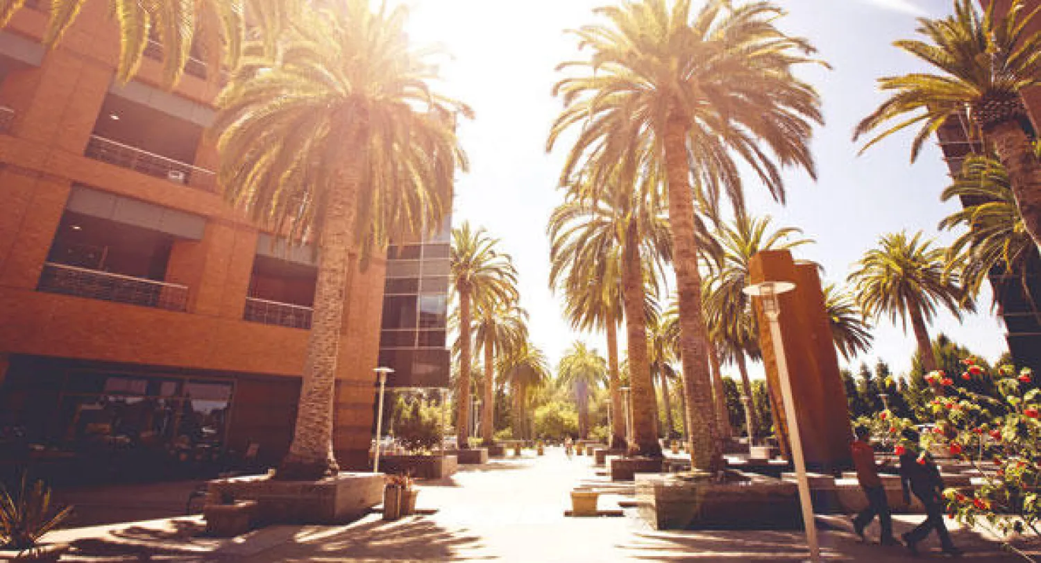 يعتمد وادي السيليكون الأميركي على مئات الآلاف من المهندسين الأجانب الذين يساعدون في إنتاج التطبيقات والخدمات التقنية