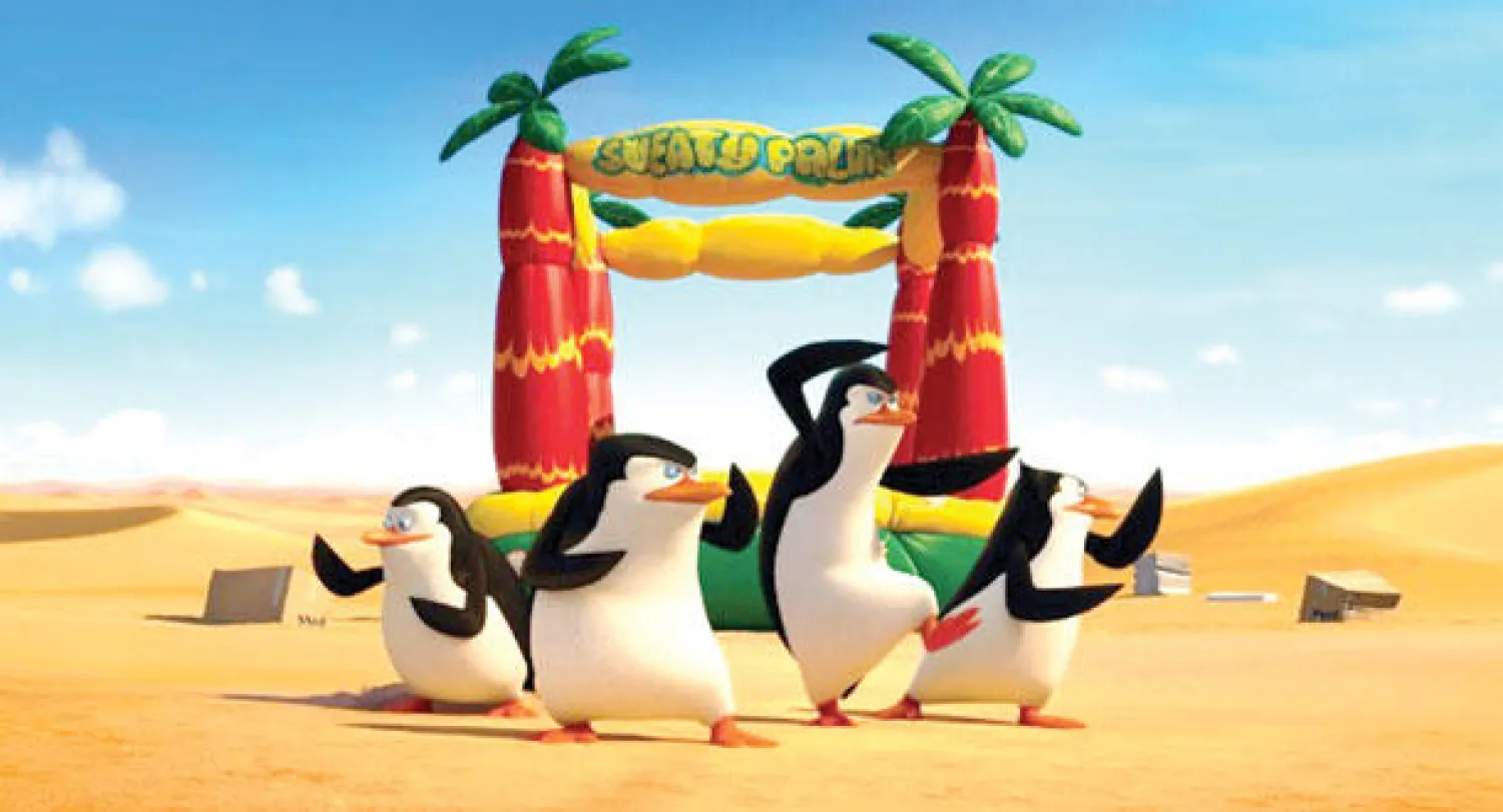 من «بطارق مدغشقر» صاحب المركز الثاني