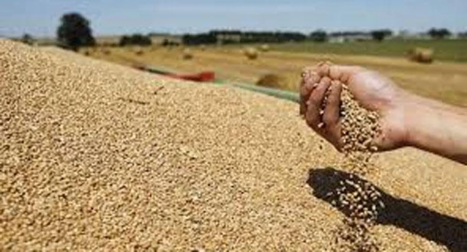 25 دولة تبحث في جدة مشاكل زراعة الحبوب وارتفاع الطلب العالمي