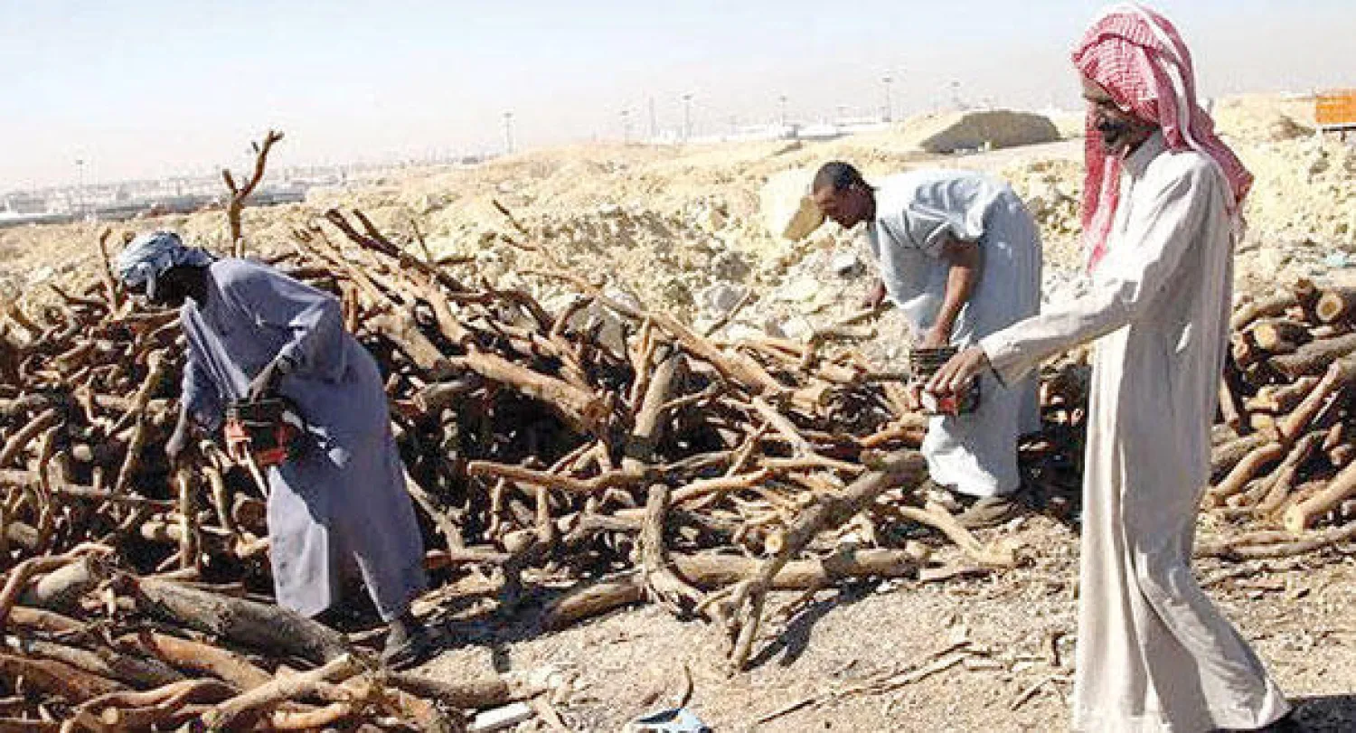 يرى السعوديون أن الحطب هو الوسيلة المثلى للتدفئة في الأماكن المفتوحة (تصوير: خالد الخميس)