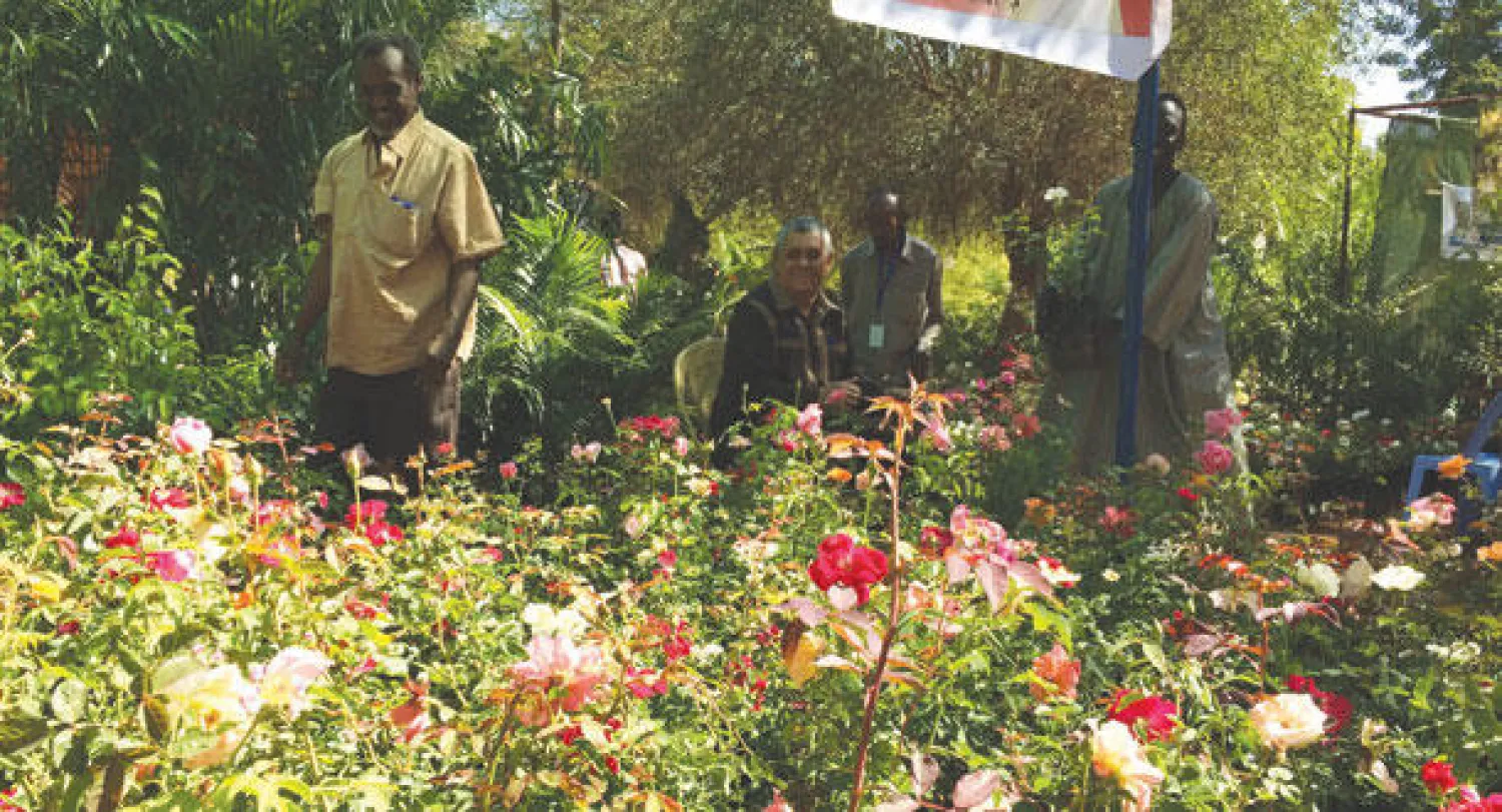 زهور ونباتات هذا العام جاءت بأشكال وأحجام مناسبة