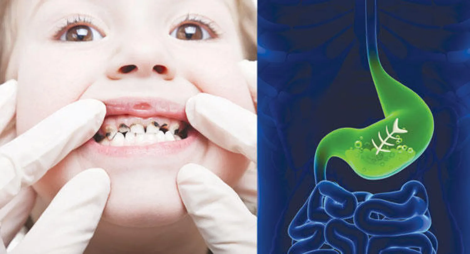 بين الخطأ والصواب