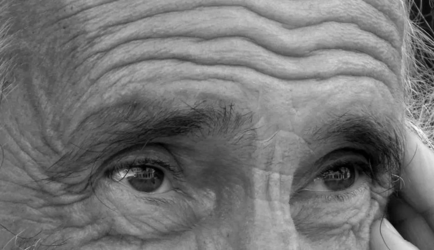 السلوك الإجرامي.. من علامات الخرف