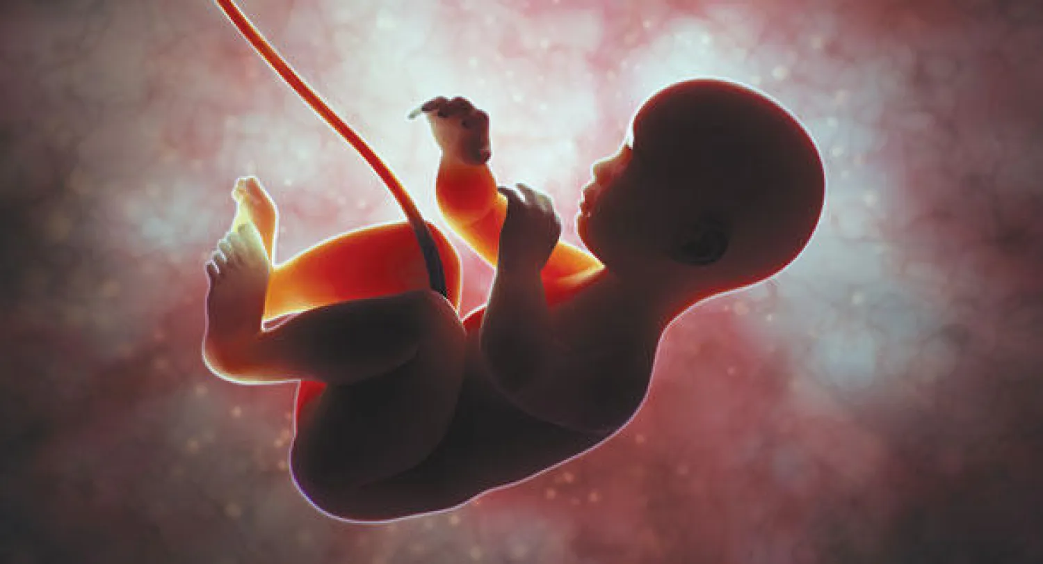 بين الخطأ والصواب