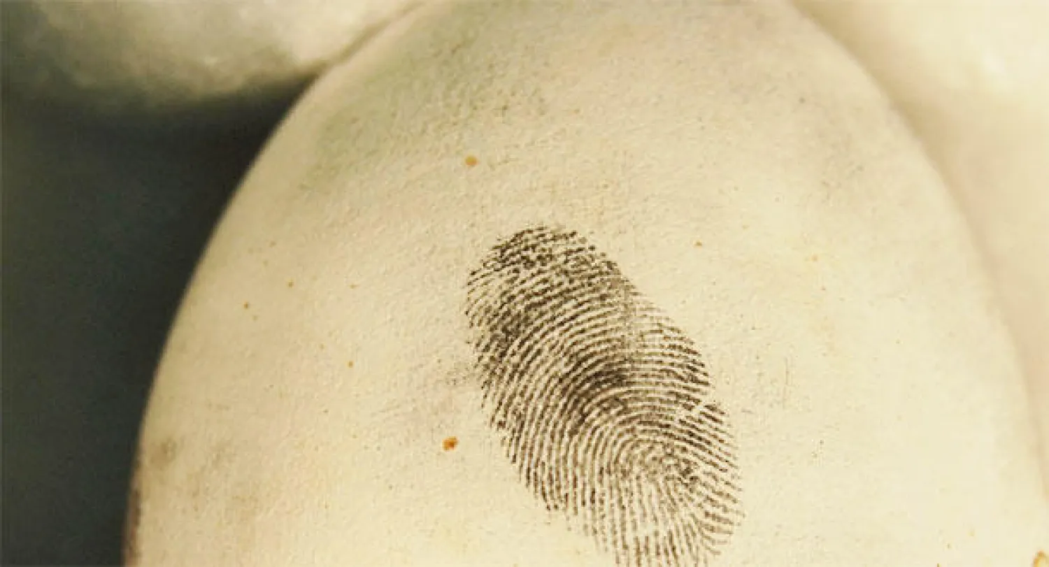 ابتكار طريقة جديدة لرفع بصمات المعتدين على الطيور الجارحة